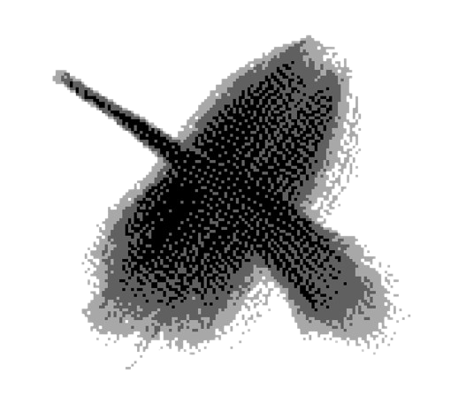Icon 2